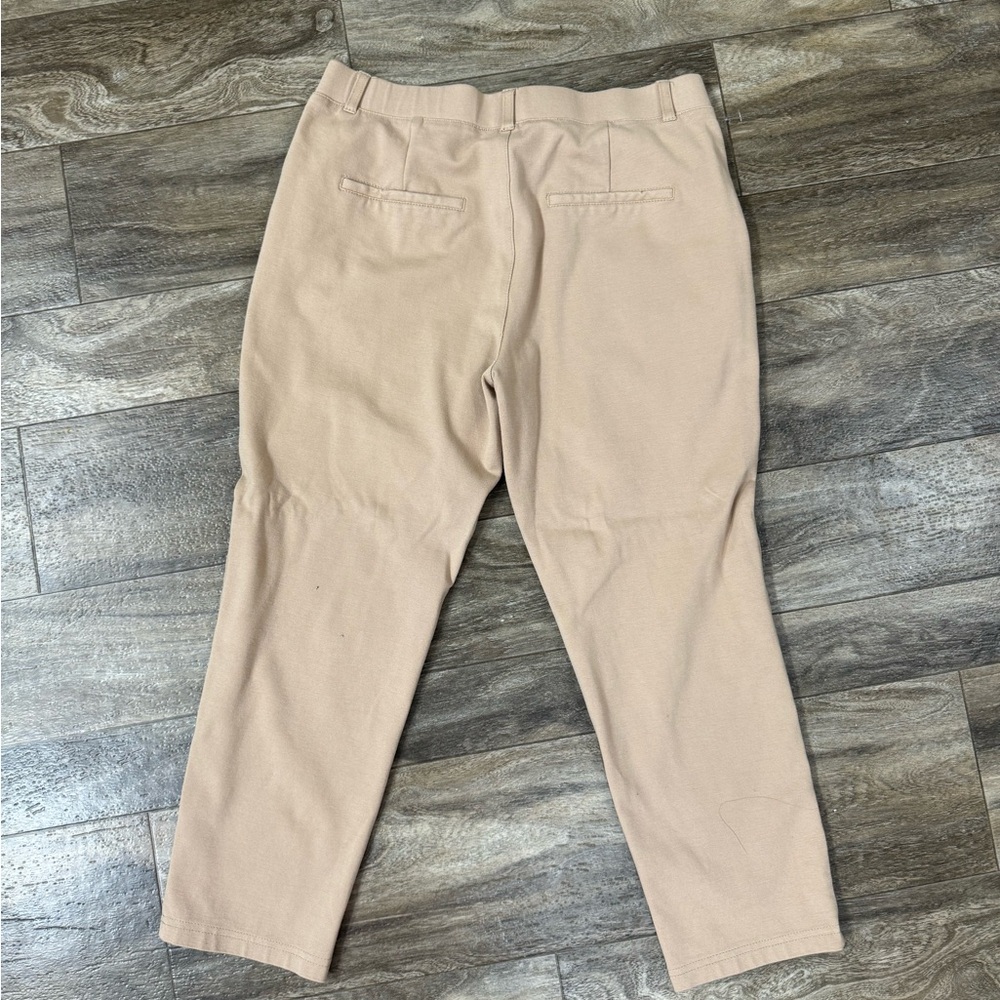 Mary Craft Office Pants Size 10